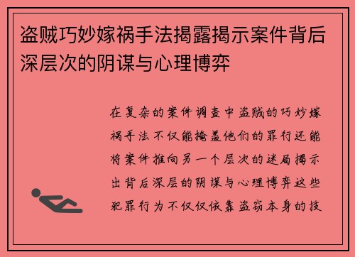 盗贼巧妙嫁祸手法揭露揭示案件背后深层次的阴谋与心理博弈